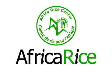 Africa Rice logo