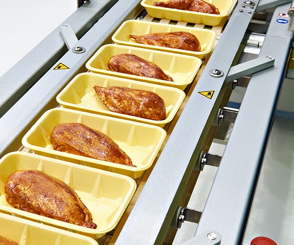 Biodegradable polymer foams and rubbers