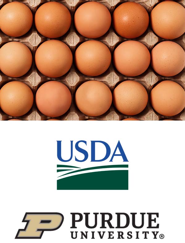 Purdue University – striving to make measurement progress in the egg industry