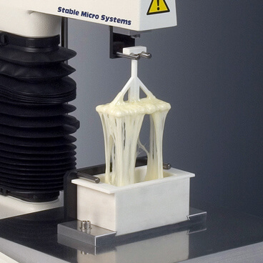 Cheese Extensibilty Rig