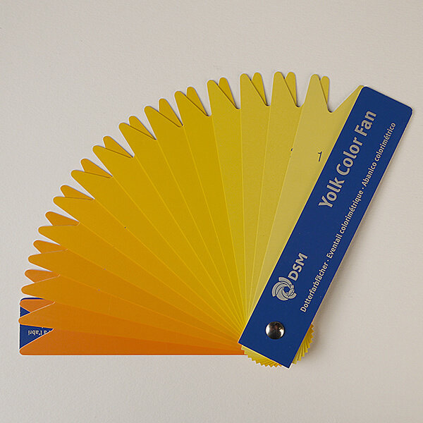 Yolk Colour Fan