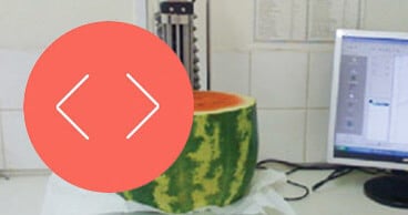 Testure analysis testing