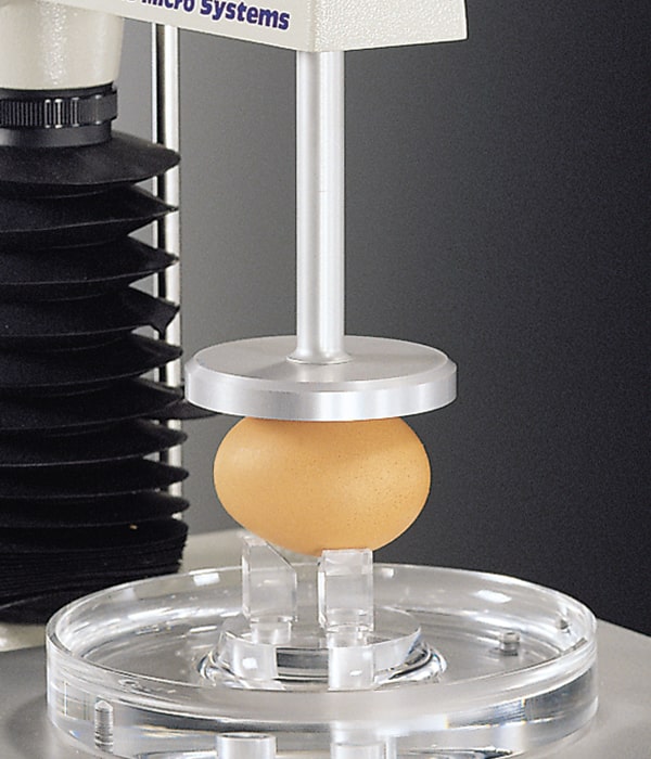 Force testing an egg using a compression platen