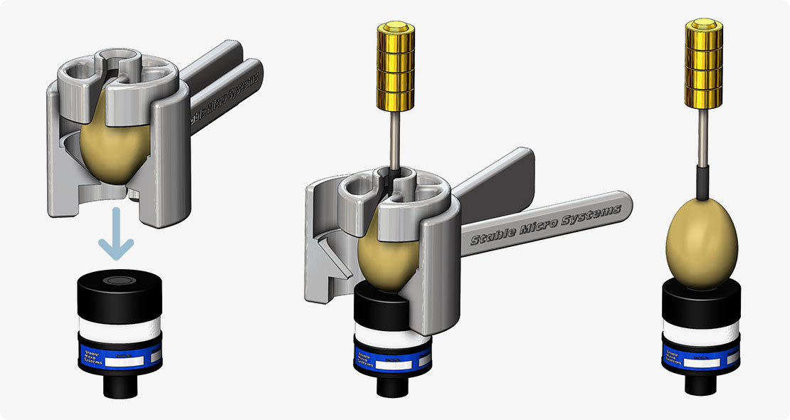 Egg aligner illustration