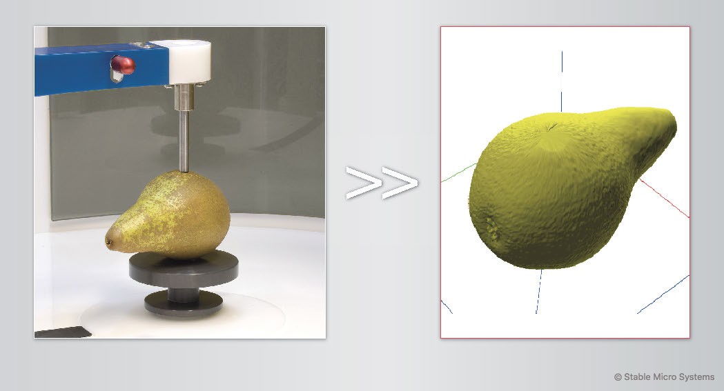 Pear sample ready for scanning >> Archived scan of sample Pear sample ready for scanning >> Archived scan of sample