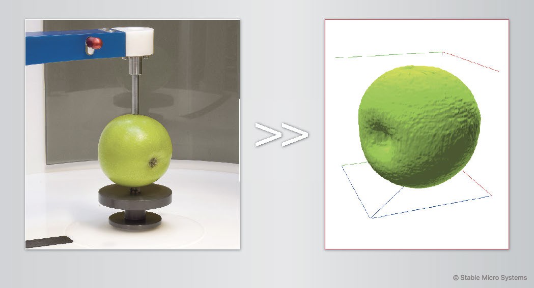 Apple sample ready for scanning >> Archived scan of sample Apple sample ready for scanning >> Archived scan of sample