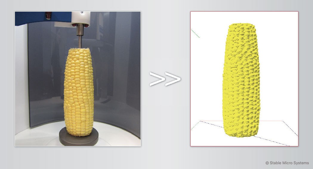 Corn cob sample ready for scanning >> Archived scan of sample Corn cob sample ready for scanning >> Archived scan of sample