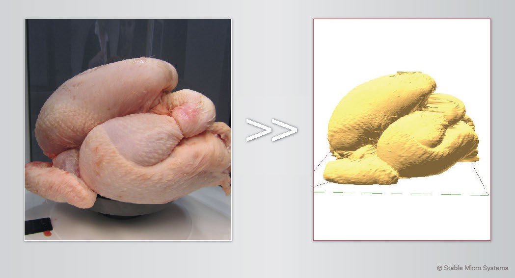 Whole chicken sample ready for scanning >> Archived scan of sample Whole chicken sample ready for scanning >> Archived scan of sample