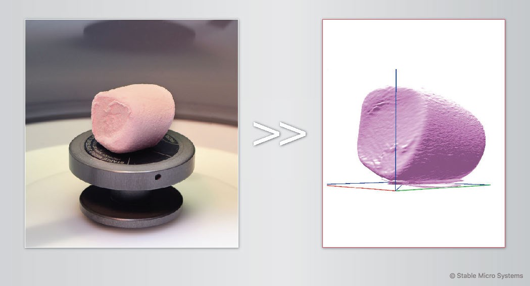 Marshmallow bite sample ready for scanning >> Archived scan of sample Marshmallow bite sample ready for scanning >> Archived scan of sample