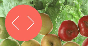 Testure analysis testing