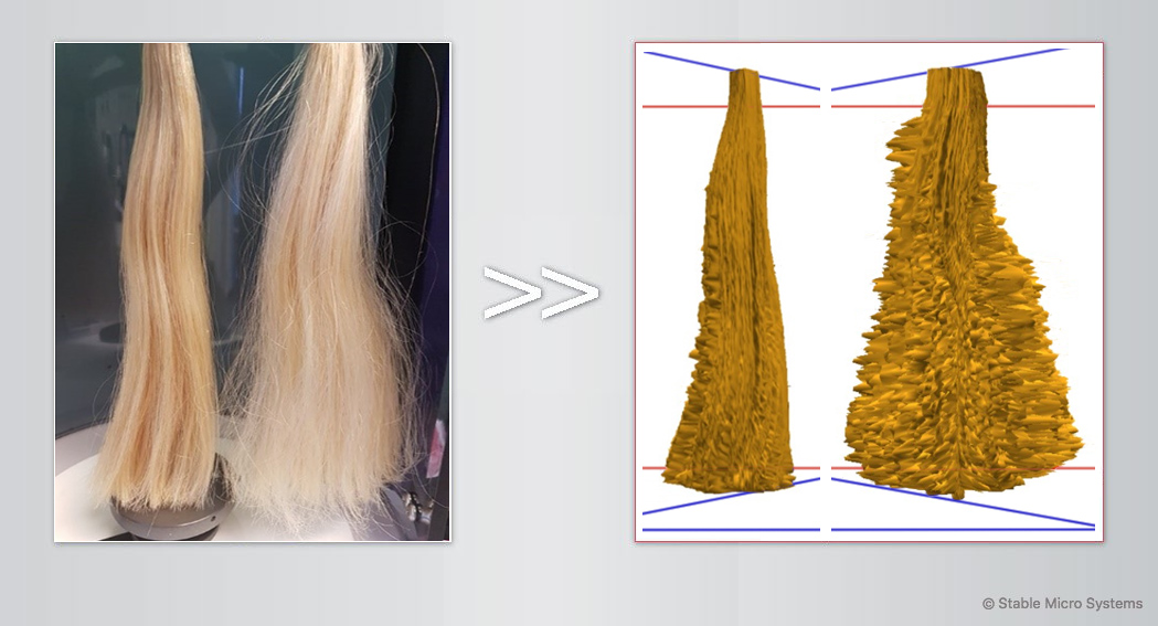 Untreated and treated (stationary) tresses >> Archived scans of tresses Untreated and treated (stationary) tresses >> Archived scans of tresses
