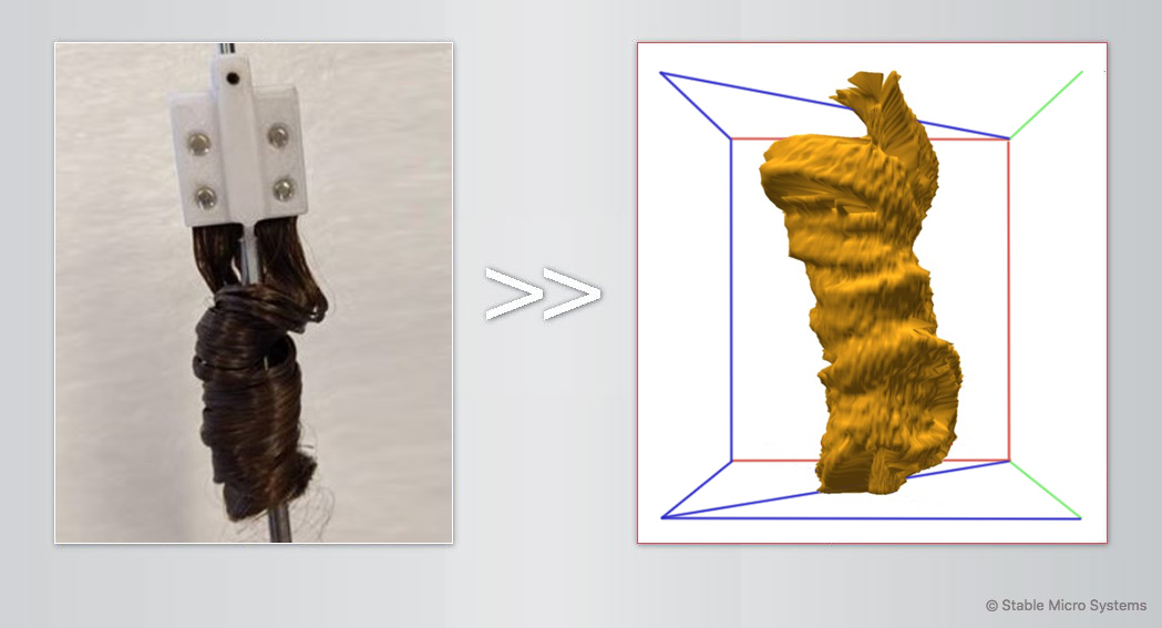 Curled tress ready for scanning >> Archived scan of curl Curled tress ready for scanning >> Archived scan of curl