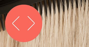 Testure analysis testing