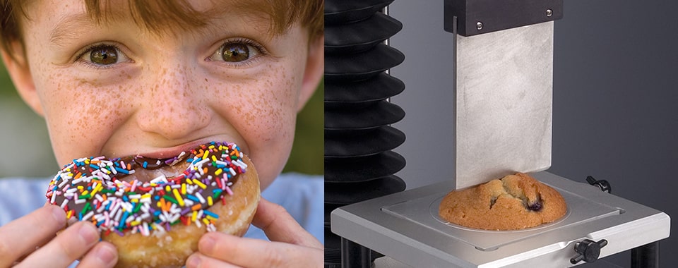 Example of heterogenous test of muffin crust using a blade on the Texture Analyser