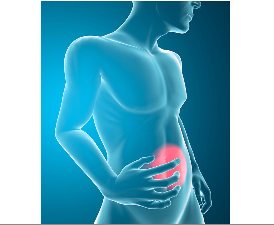 Cohesiveness measurement applications using the TA.XTplus Texture Analyser