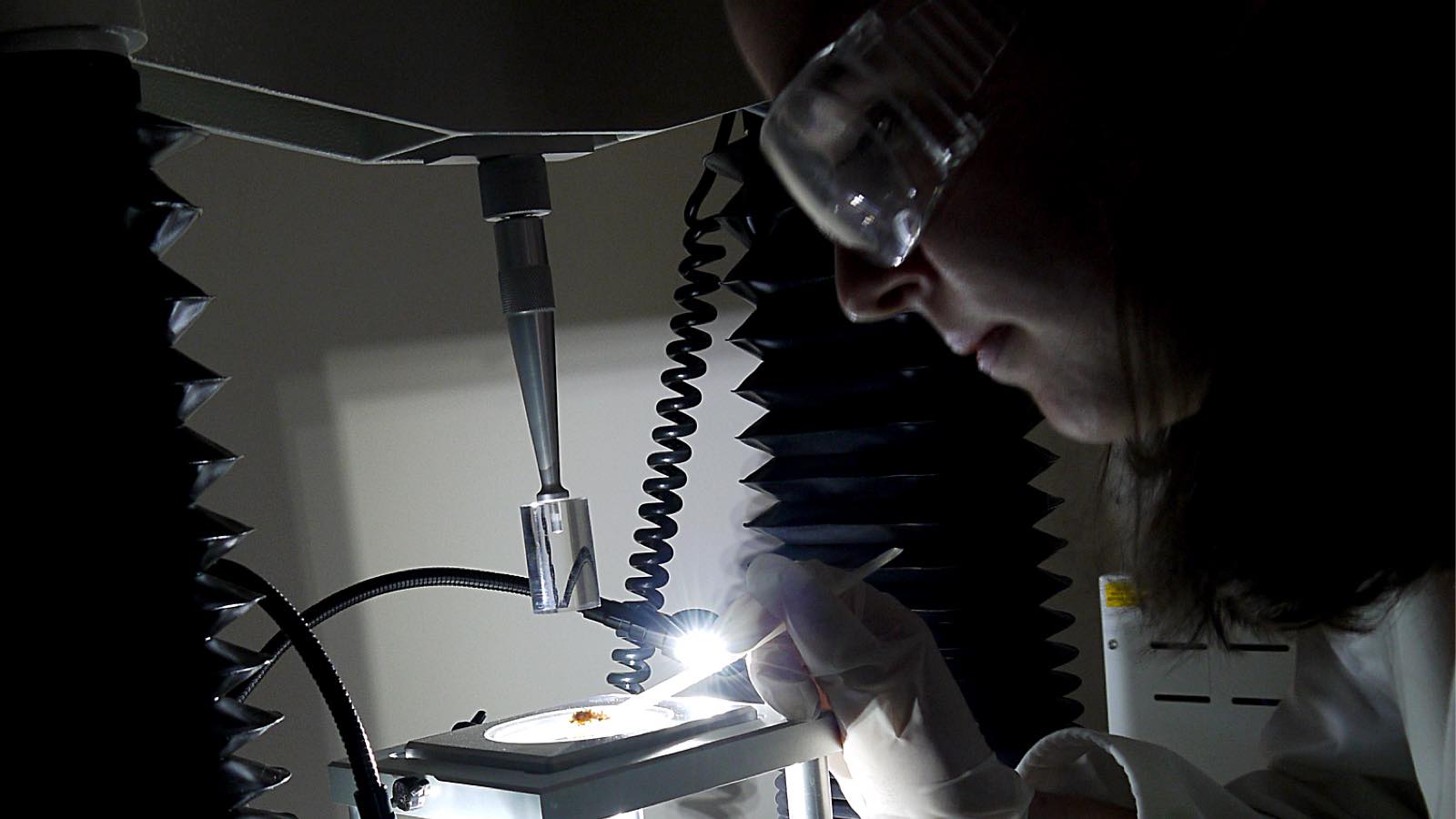 New ways to help support your texture analysis test methods