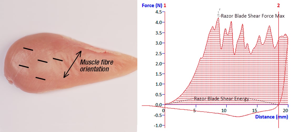 Left: Predetermined piercing locations for MORS test. Right: Typical Exponent graph output for MORS test