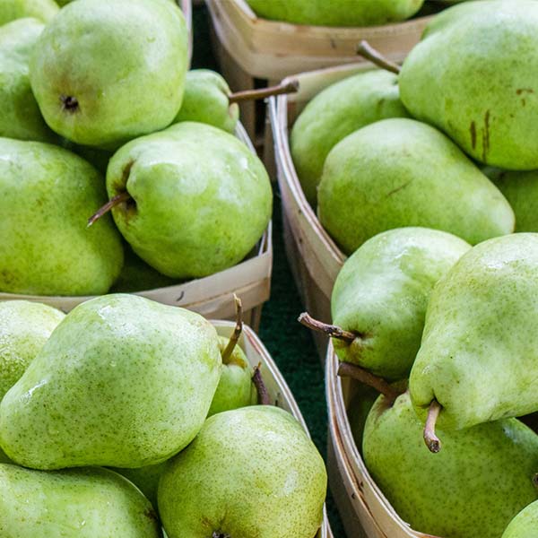 Pears