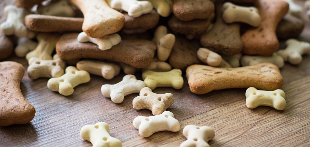 Petfood and Animal Feed testing