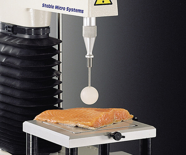 Ball Probe test on fish fillet
