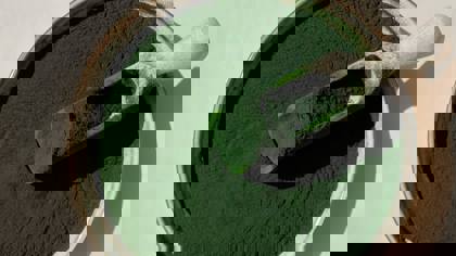 Algae in food product development