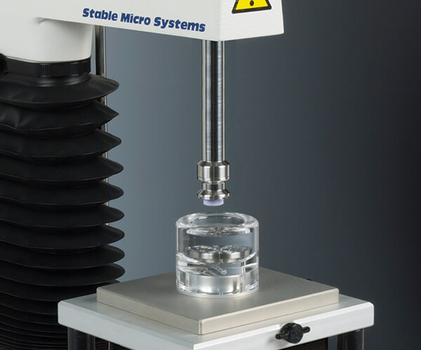 Tablet Disintegration Rig