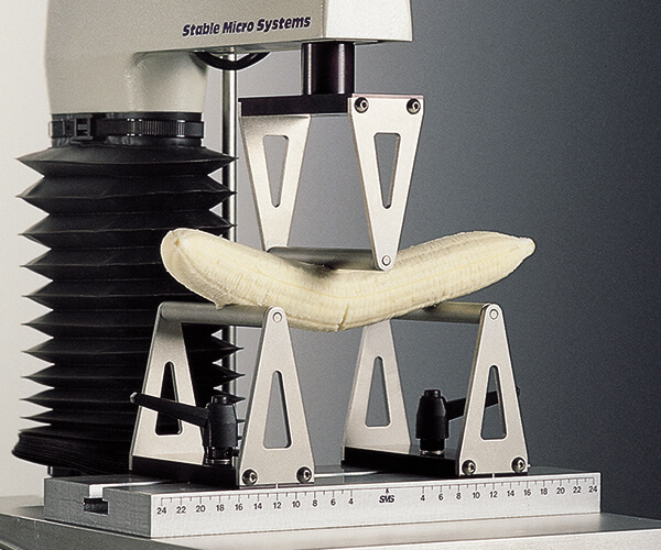 Three Point Bend test on banana