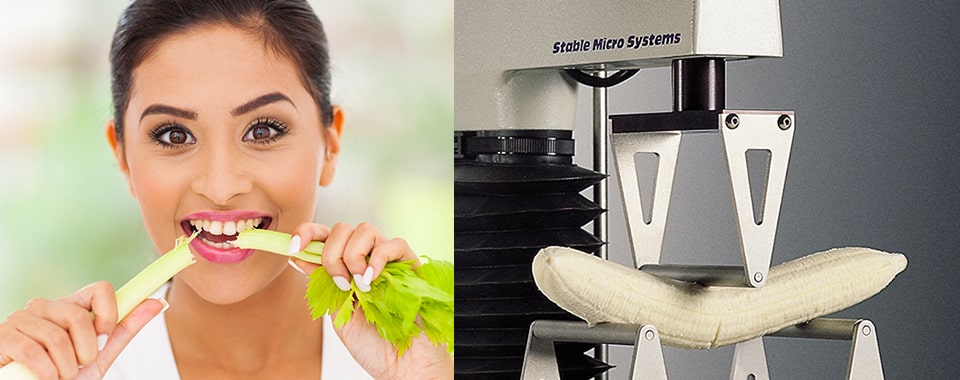 Three point bend test