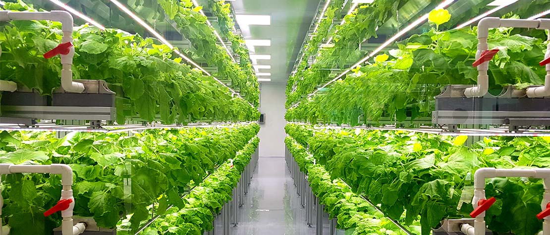 Vertical farming